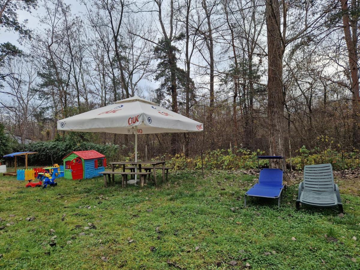 Pensiunea Carpe Diem Ramnicu Valcea Luaran gambar
